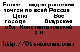 Более200 видов растений почтой по всей России › Цена ­ 100-500 - Все города  »    . Амурская обл.,Константиновский р-н